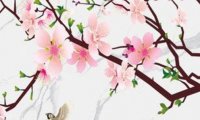三个字的女装店名新颖 独特好听的店铺起名