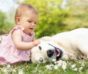 向姓男孩根据诗经取名