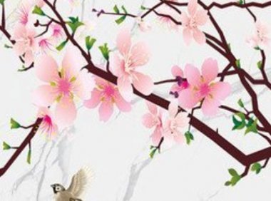 三个字的女装店名新颖 独特好听的店铺起名