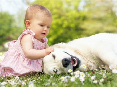 向姓男孩根据诗经取名