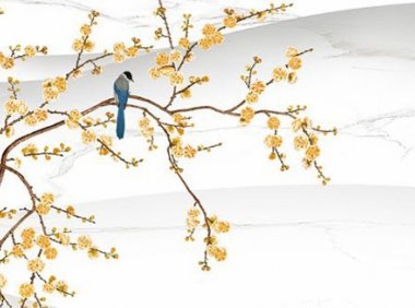 洗车店起什么名字好 精选店铺取名简单大气