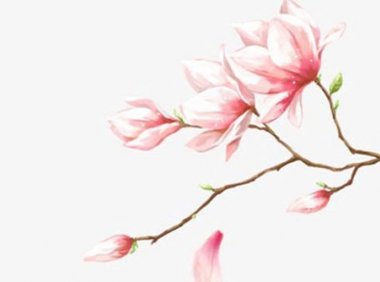 劳务派遣公司名称大全简单大气 有福运的企业取名