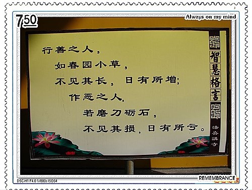 MLWX与趋吉避凶