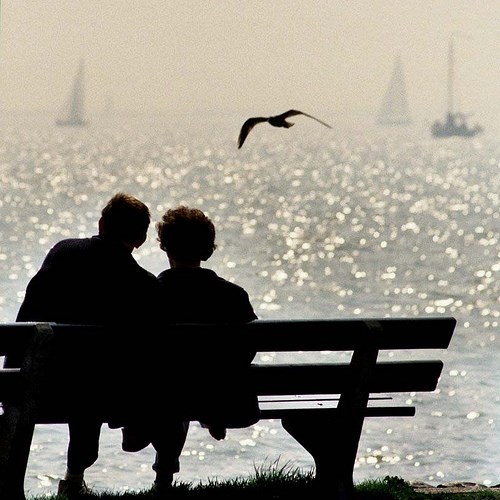 神准测试——最爱你的人何时出现