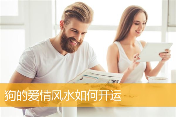 狗的爱情FS如何开运