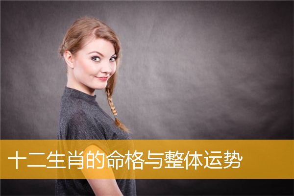 十二生肖的mg与整体YS